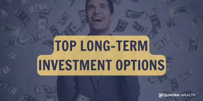 Investment investments options investors Investment investments options investors