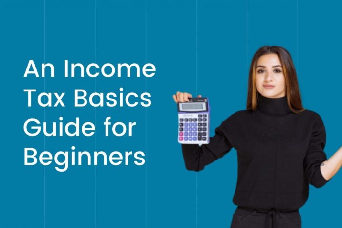Income tax beginners basics guide understand 80c tds section tradebrains Income tax beginners basics guide understand 80c tds section tradebrains