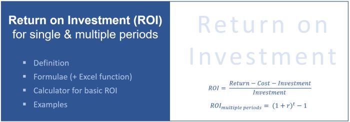 Roi return investment mean does Roi return investment mean does